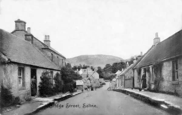 Old Saline & Steelend 28